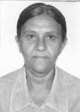 MARIA JOSÉ TELES