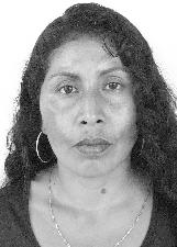 ROSA DINELE
