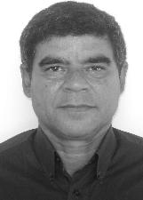 LELO PROFESSOR