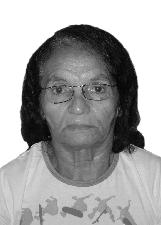 MARGARIDA 2008