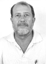 HAMILTON ALBERTINI