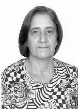 SELMANIR DA CRUZ BONFADA