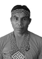 MANOEL PEREIRA