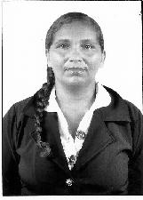 ELAINE