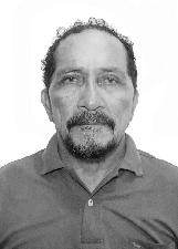 GAVIÃO