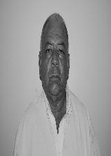 MAURINO