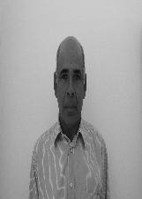 NEGO SAMBAIBA