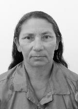 DINDÔ