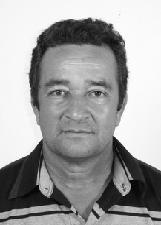 TIM PEDREIRO