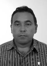 CELINO KOIOTE