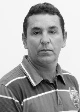 ZÉ ABELHA