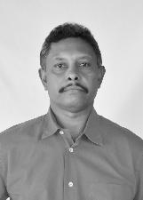 NEDINO JOSE ARAUJO