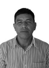 NESTOR