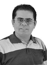 PULGA DO CELULAR