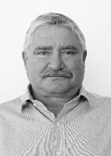 ALCIR FERNANDO