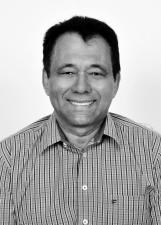 HELVECINO