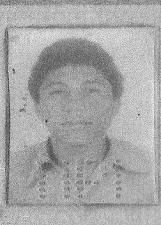 LOIOLA