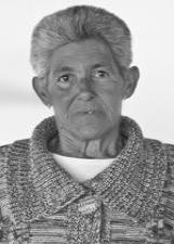 ROSA BONINI