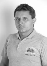 DOLFINHO