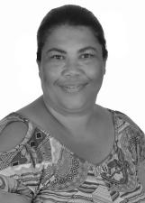 LENA DO CÓRREGO ALTO