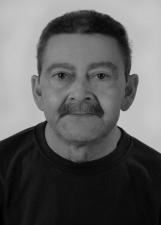 AEL PINTOR