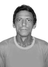 JOÃO BATISTA - GALO