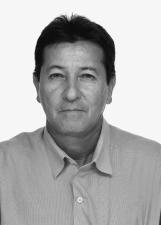 JOTA PEDROSO DA RAIZ