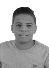 GELSIM