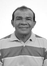 VICENTE PAU D ARCO