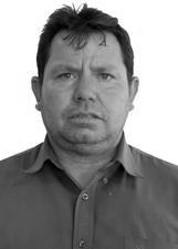 CELSO BERGAMIN