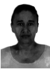 ELENICE BARCELOS