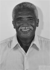JOEL P OLIVEIRA