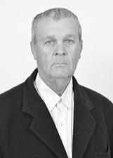 LAURI SPRINGER