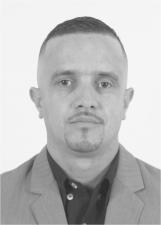PINGUIM PELEJADOR
