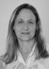 PROF. ARLEI (PITA)