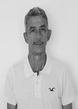 ZEZE GALO VELHO