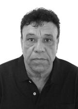 NELSON FONSECA