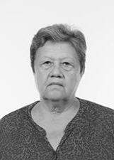 ILDA DO ARARETAMA