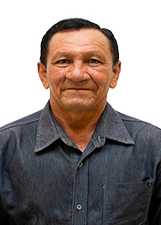 PROFESSOR VIANA