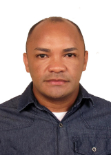 PROFESSOR DOMINGOS SILVA