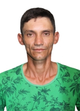 VACA VEIA