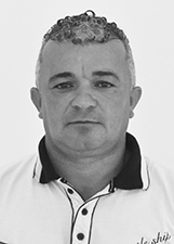 DADO DA BIRIBEIRA