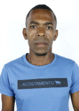 BINHO DA CAJAZEIRA