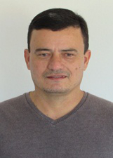 TONHO ZEBRINHA