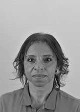 PROFESSORA ZELINDA NOVAIS