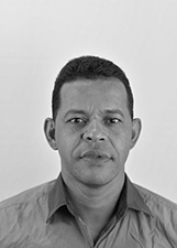 MIL TAMANDARE