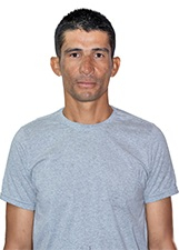 VEI DE OLAVO