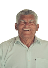 CABEÇA DE ALHO