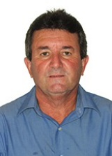 TONINHO STEIN