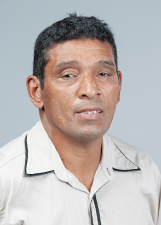 DOMINGOS PICOLEZEIRO
